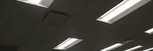 img 8707 867 1170 600