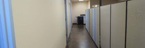 img 6418 4 1170 600