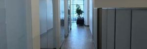 img 6345 77 1170 600