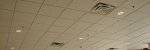 cornerstone ceiling 400 586 1170 600