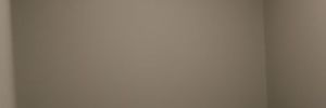 img 8239 917 1170 600