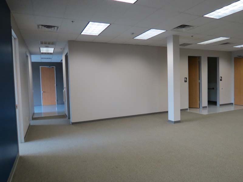 img 8595 205 1170 600