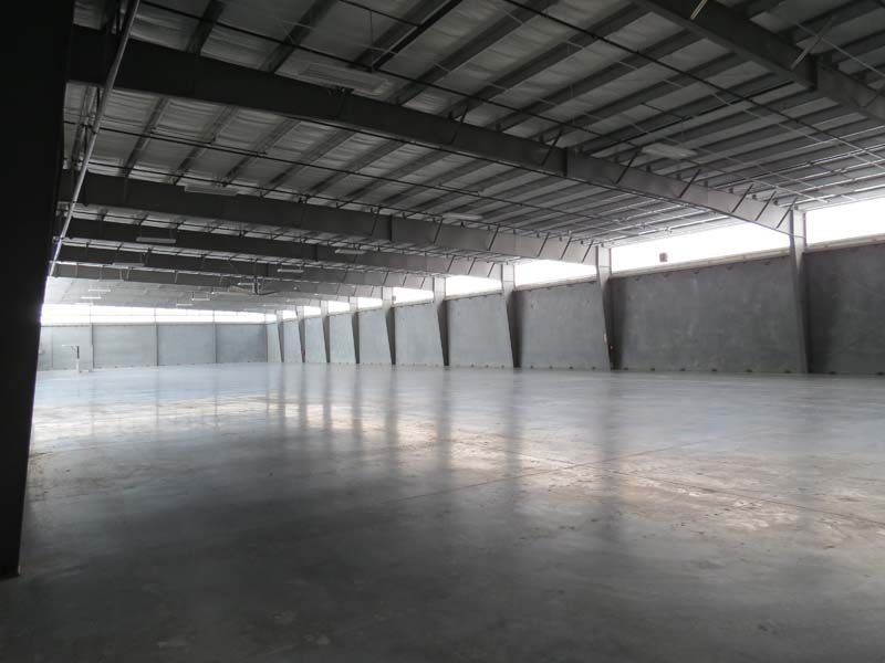 img 2979 438 1170 600