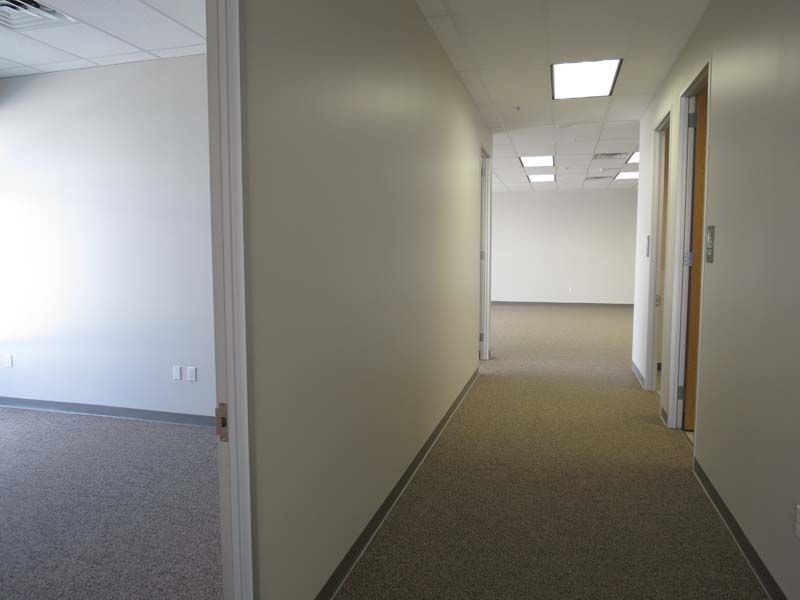 img 4437 486 1170 600 img 4437 486 1170 600